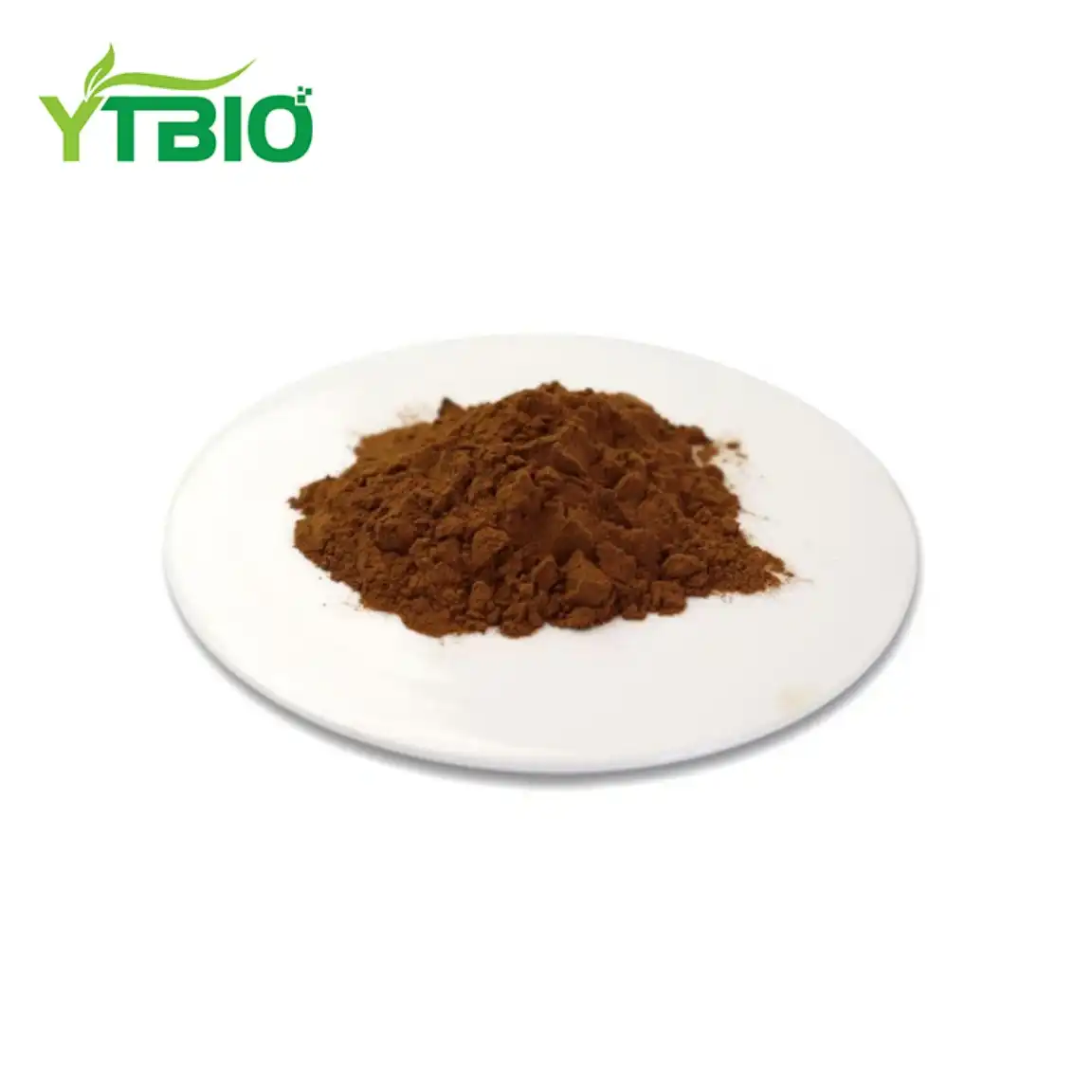 Onion Extract Powder